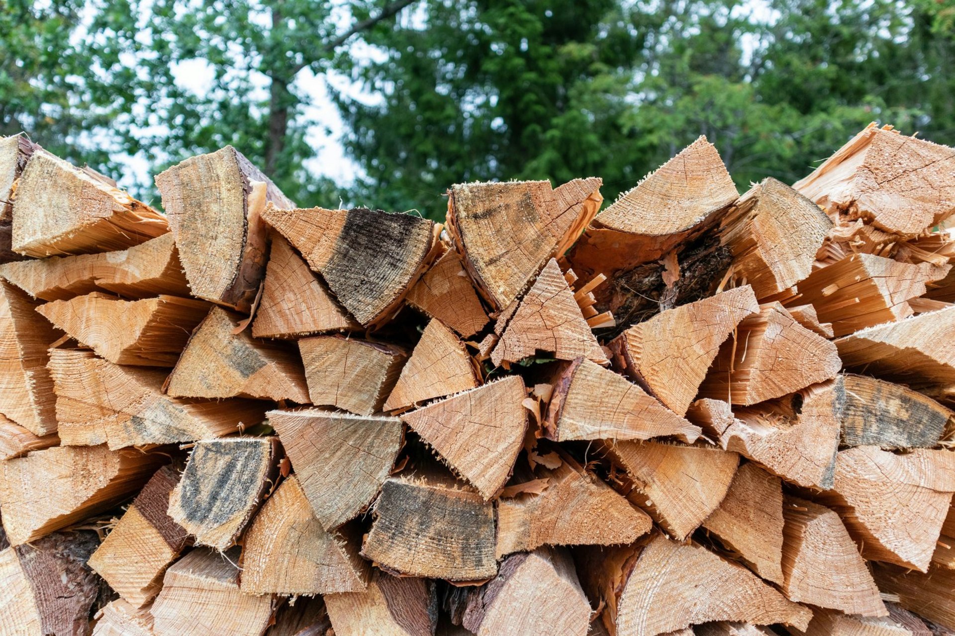 Förderung Holzheizung