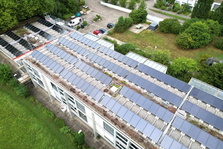 Solarkollektor